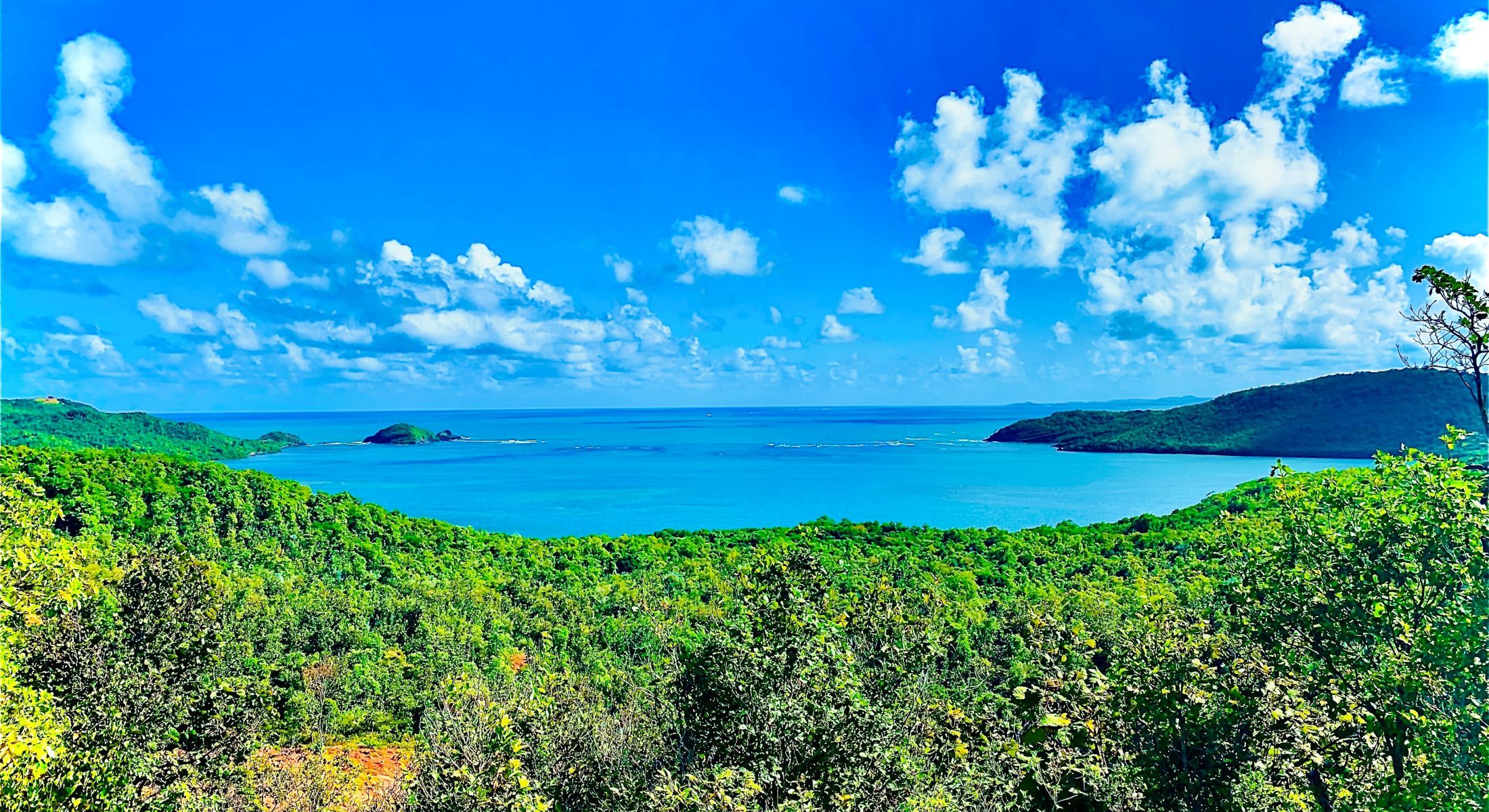 Hotel French Coco Boutique Luxury Hotel in Martinique OFFICIAL